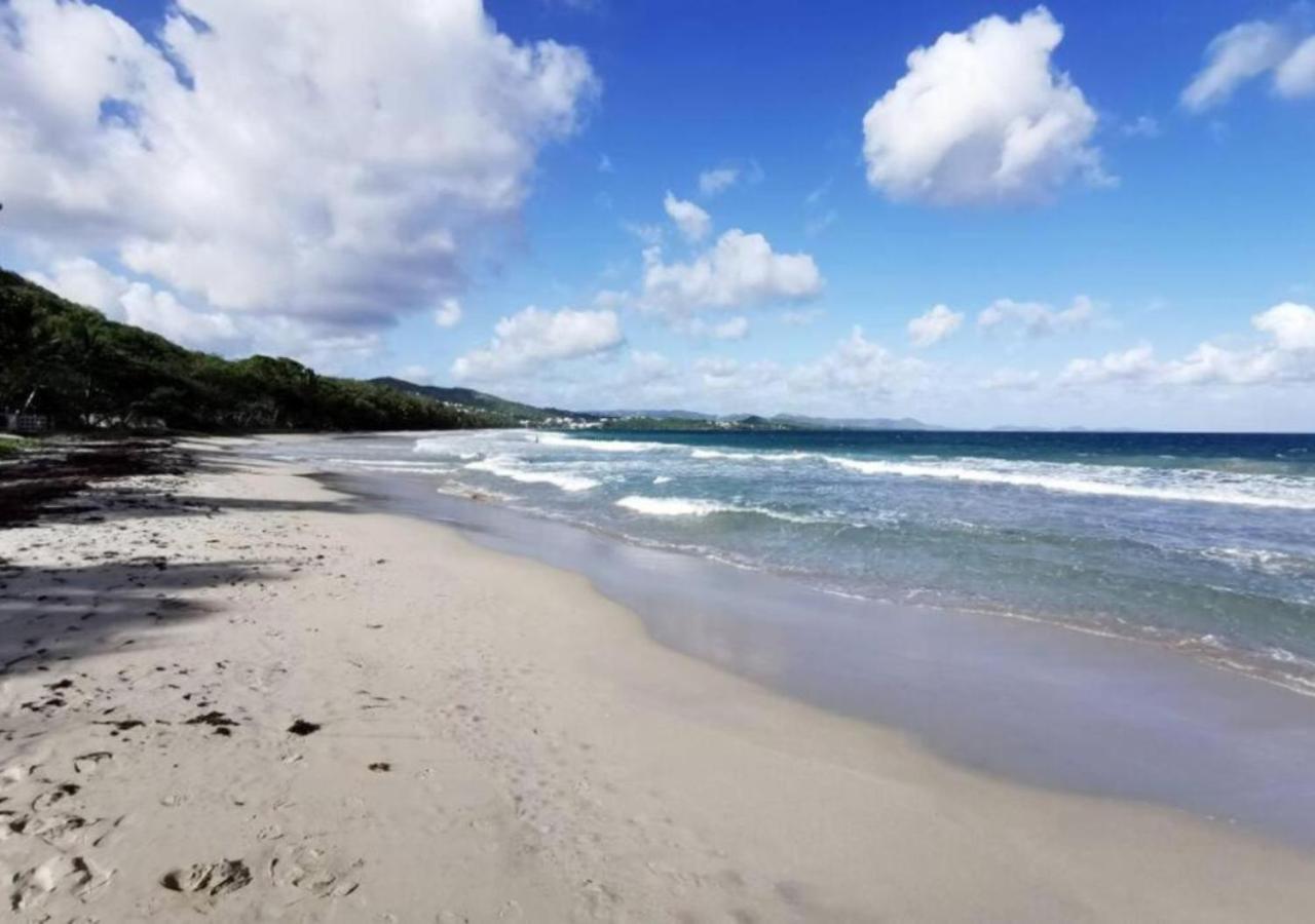 Villa Cocotier A 50 Metres De La Plage Le Diamant Εξωτερικό φωτογραφία