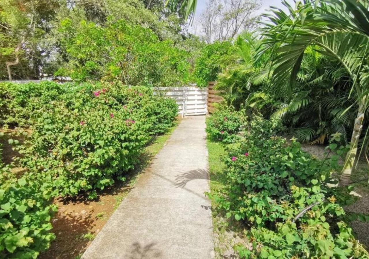 Villa Cocotier A 50 Metres De La Plage Le Diamant Εξωτερικό φωτογραφία
